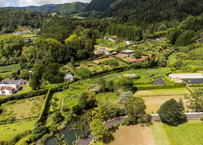 Furnas Nest