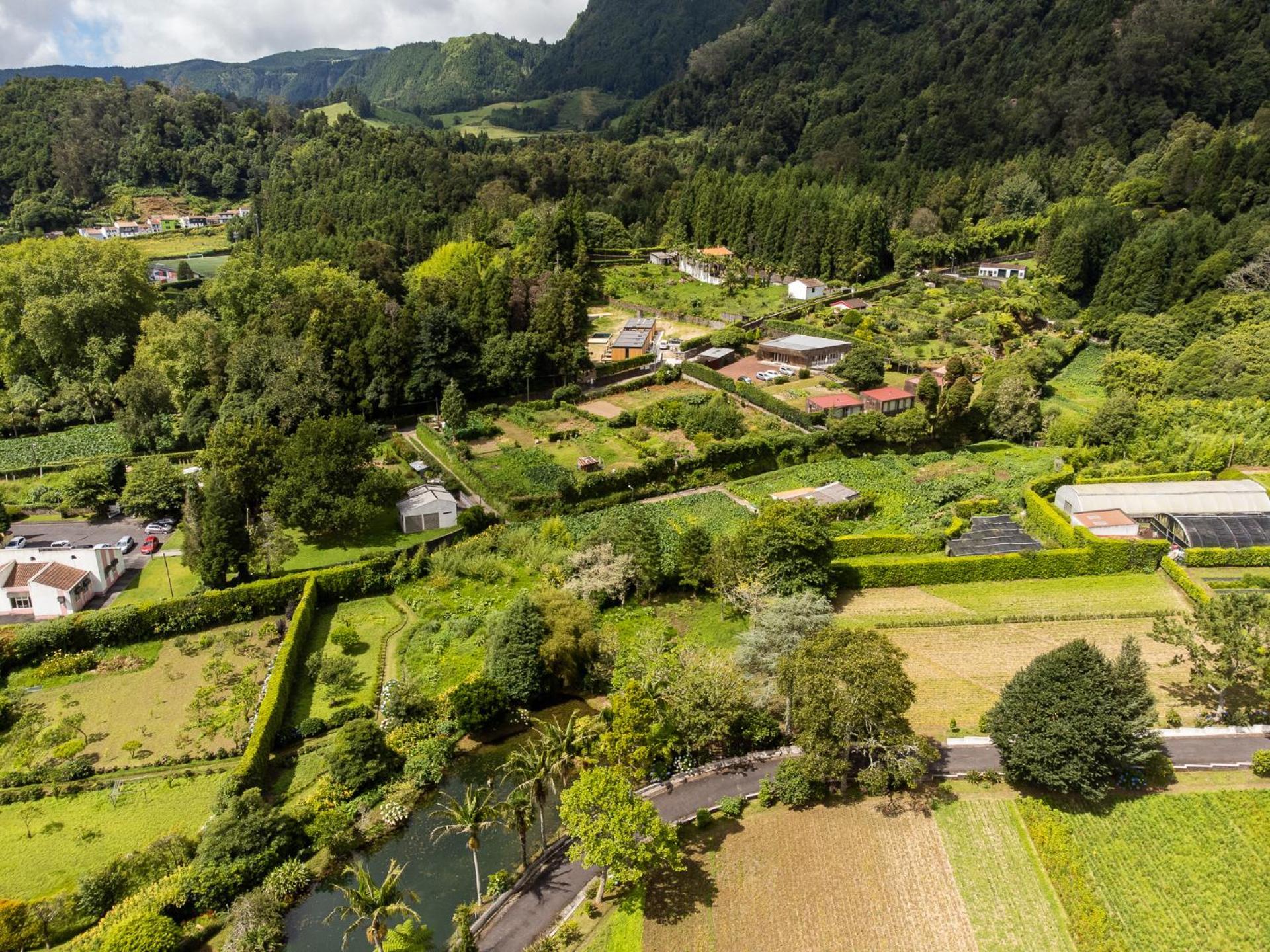 Furnas Nest *